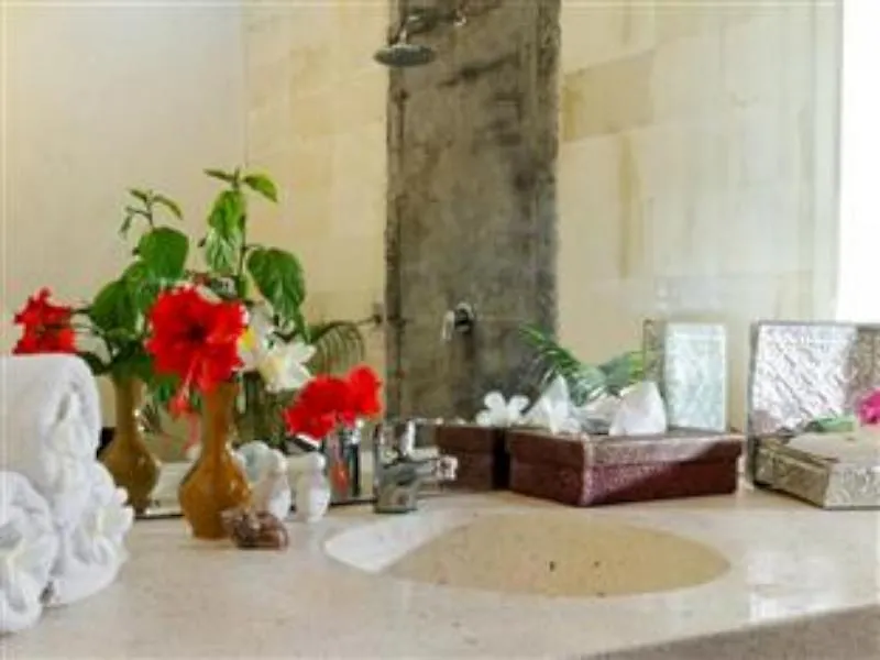 Villa Pagu Seminyak 0*,  Indonésie